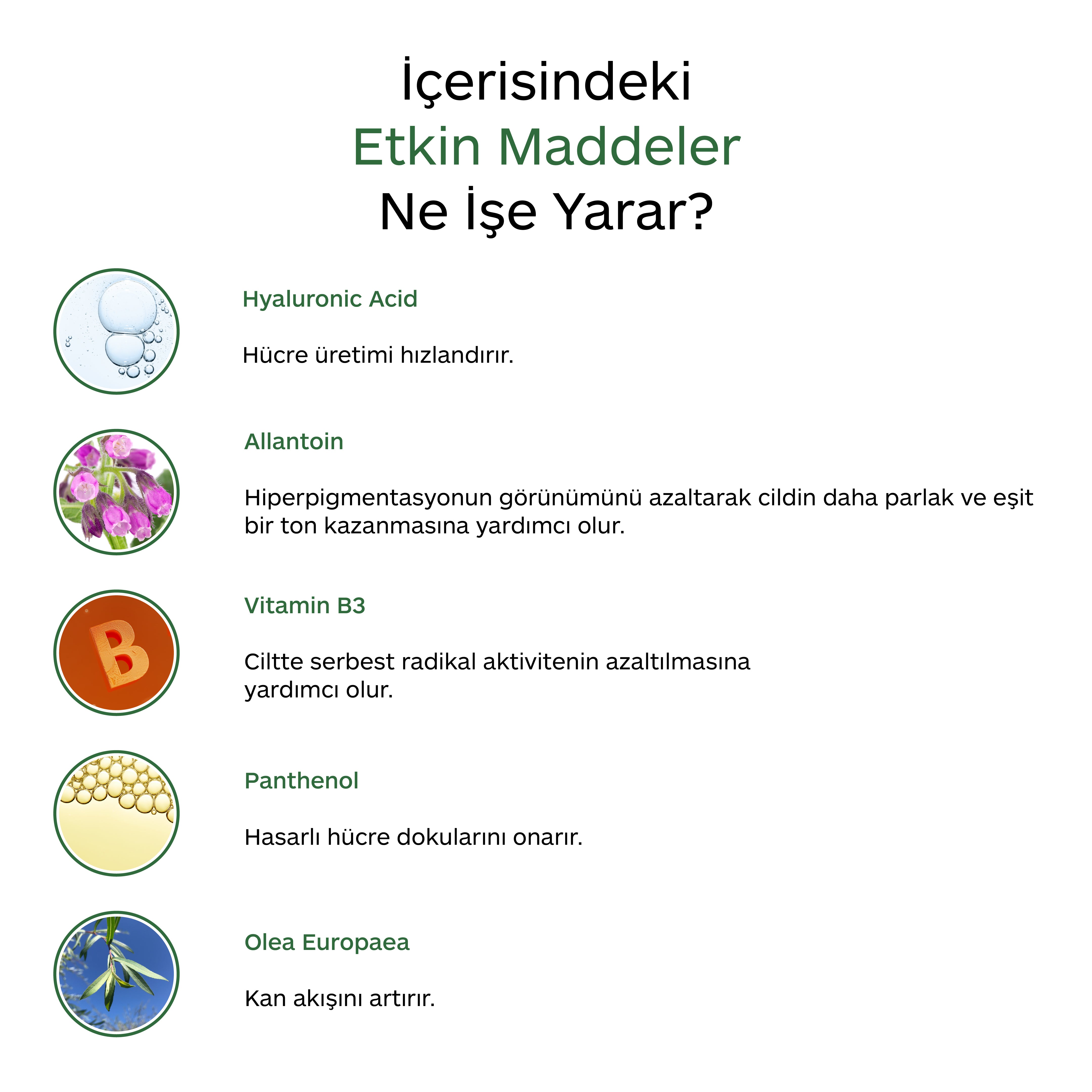 YOĞUN NEMLENDİRİCİ YÜZ KREMİ